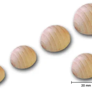 Angebot Rohholz-Halbkugel, ungebohrt, 15 Stück, Ø 20 mm