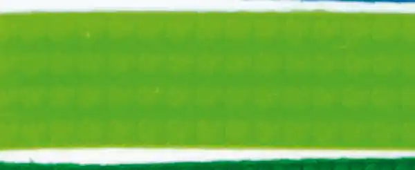 Wachsperlstreifen, 2mm, 20cm, 11 Stk., gelbgrün Saisonangebot