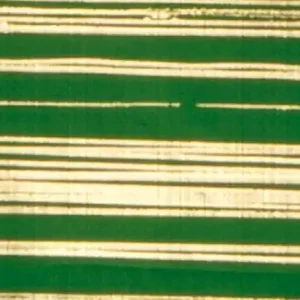 Verzierwachsplatte, gold gestreift, 200x100x0,5mm, grün Jetzt Bestellen