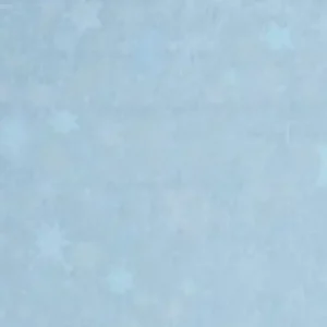 Verzierwachsplatte, flitter Stern, 200x100x0,5mm, hellblau Billig