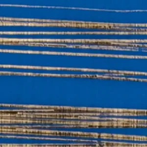 Preisreduziert Verzierwachsplatte, gold gestreift, 200x100x0,5mm, blau