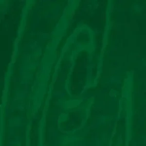 Verzierwachsplatte Rainbow, 200x100x0,5mm, grün Schneller Versand