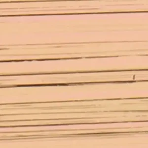 Verzierwachsplatten, gestreift, 200x100x0,5mm, 10 St., lachs Top-Qualität