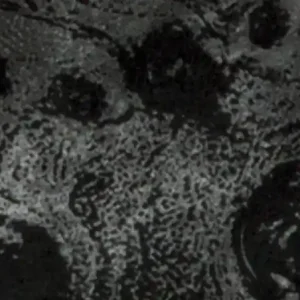 Verzierwachsplatte Wolkig, 200x100x0,5mm, schwarz Echt