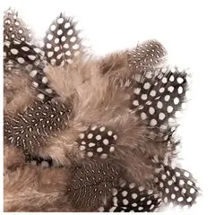 Dekorative Wachtelfedern Billig