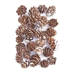 Ausverkauf Schneebedeckte Mini-Tannenzapfen