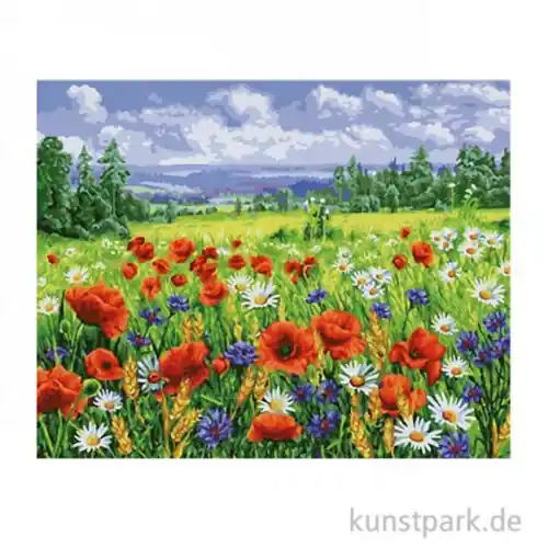 Schipper Malen nach Zahlen, Blumenwiese Expressversand