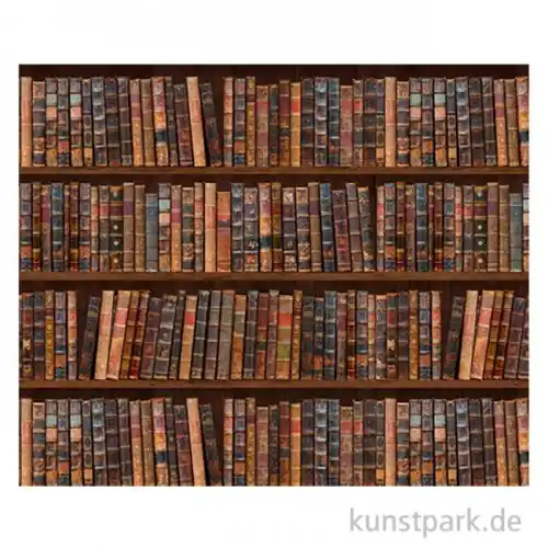 Kostenloser Versand Motiv-Fotokarton Bibliothek, 49,5 x 68 cm, 300g