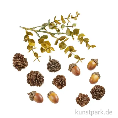 Mini Herbst Deko Set, Eicheln + Zapfen, 2,5-10 cm, 13-teilig Billig