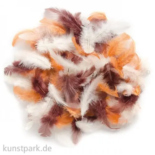 Deco-Federn - Braun, 10g sortiert Original