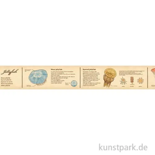 Super-Preis MT Masking Tape Encyclopedia Jellyfish - 30 mm, 7 m Rolle