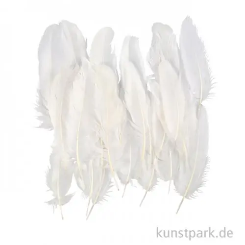 Expressversand Deko Federn, Weiß, Größe 10 - 18 cm, 70 Stück