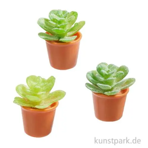 Billig Miniatur Blumentöpfe mit Sukkulenten, 2,3 cm, 3 Stück