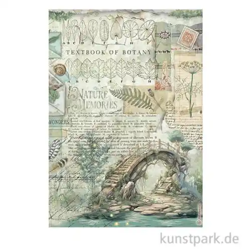 Stamperia Reispapier - Herbarium Silvae Bridge, DIN A4 Gratis Versand