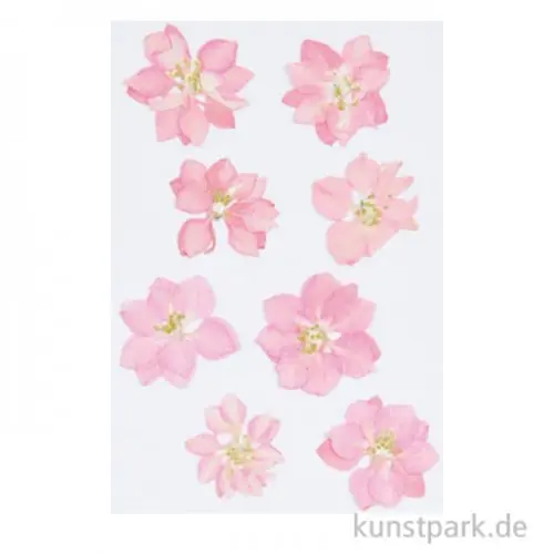 Gepresste Blüten - Rittersporn Rosa, 8 Stück Gratis Versand