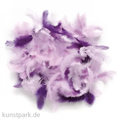Geprüft Deco-Federn - Lila, 10g sortiert