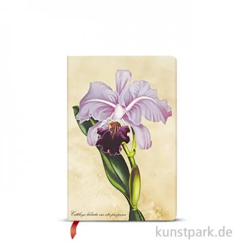 PAPERBLANKS Notizbuch - Botanikmalerei Orchidee, 95 x 140 mm, Blanko Ausverkauf