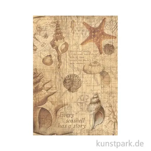 Stamperia Reispapier - Sea Land Shells, DIN A4 Meistverkauft
