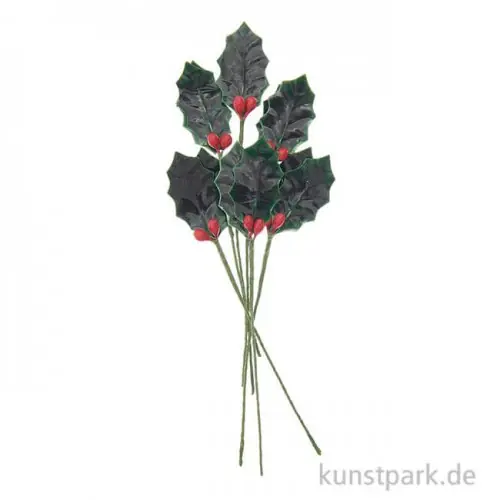 Beliebt Ilex Stechpalmen, groß, 6 Stück