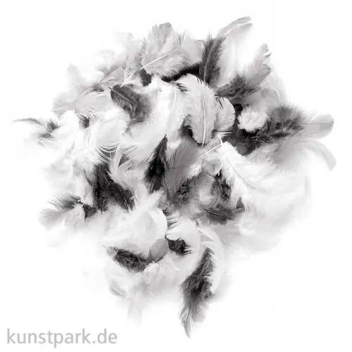 Deco-Federn - Weiß-Schwarz, 10g sortiert Solange Der Vorrat Reicht