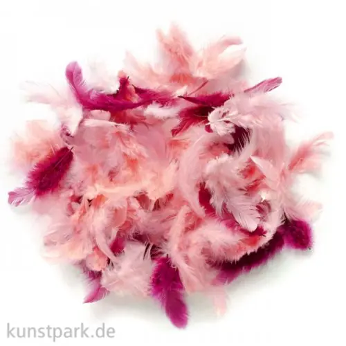 Deco-Federn - Rosa, 10g sortiert Super-Preis