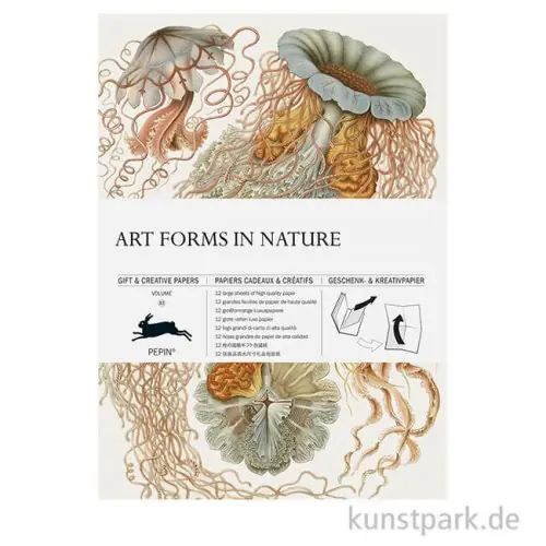Preisknaller PEPIN Kreativpapier Buch - Art Forms in Nature