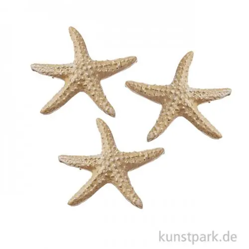 Sofort Bestellen Mini Seestern - Natur, 4 cm, 3 Stück