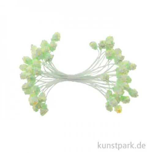 Blütenstempel Mini - 144 Stück, Hellgrün Meistverkauft