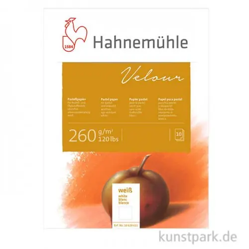 Hahnemühle VELOUR Pastellpapier, 10 Blatt, 260g, weiß Premium