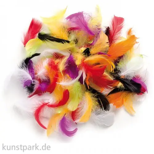 Deco-Federn - Multicolor, 10g sortiert Sofort Bestellen