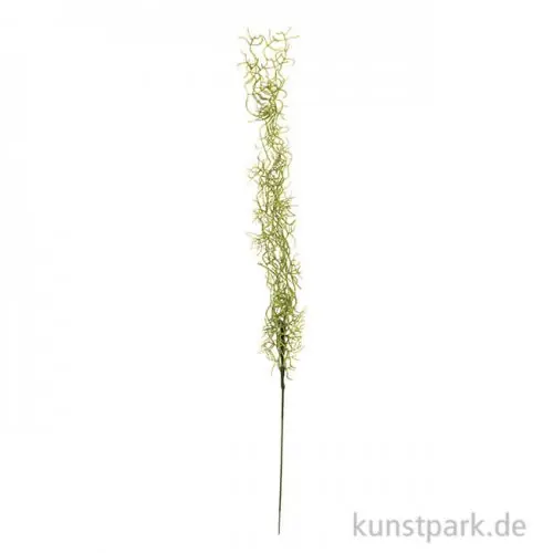 Rabatt Seegras-Ranke, 75 cm