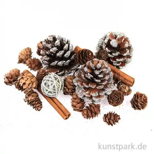 Zapfen-Potpourri hellbraun Kracherpreis