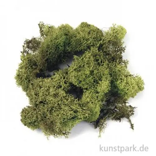 Gratis Versand Islandmoos - Hellgrün, 30 g