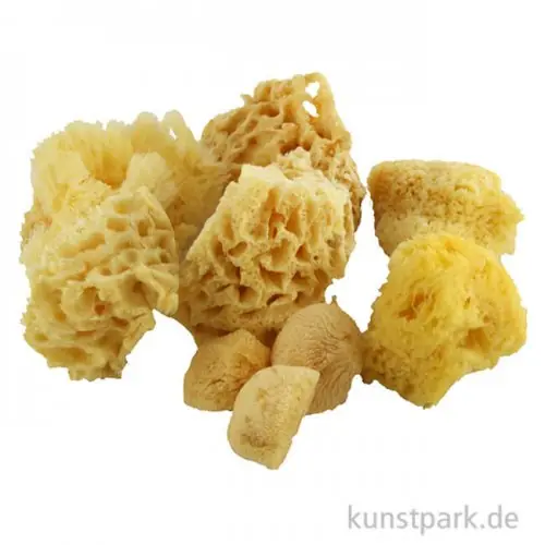 Gratis Versand Aquarellschwamm Set 2 - verschiedene Formen und Größen