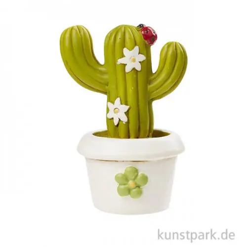 Neuheit Mini Säulenkaktus im weißen Topf
