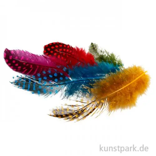 Perlhuhnfedern - bunt, 100 Stück Kostenloser Rückversand