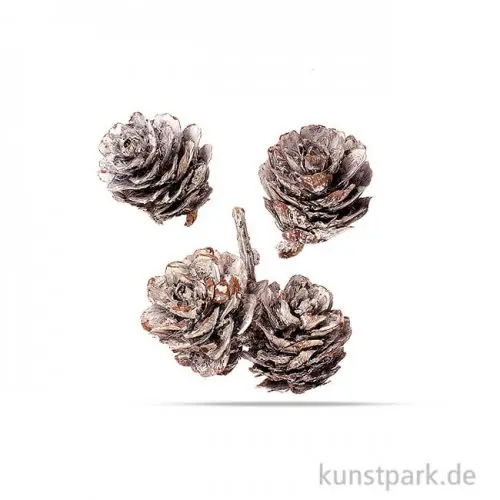 Kiefernzapfen 3 - 4 cm, 50g Original