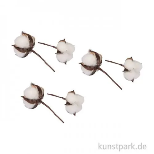 Baumwollblüten, 10 cm, 6 Stück Original