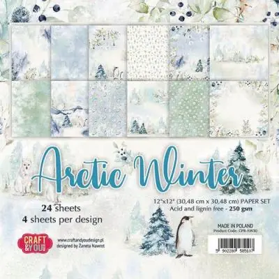 Arctic Winter - Paper Pad Angebot