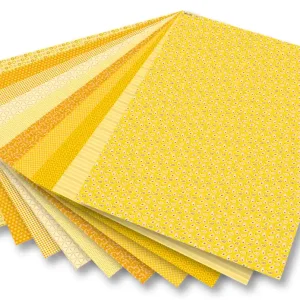 Markenware Motivkarton Basics, 50x70cm, 10 Motive/Bogen