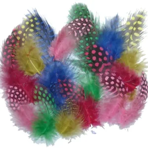 Ab Werk Perlhuhnfedern farbig, 100 Stk.