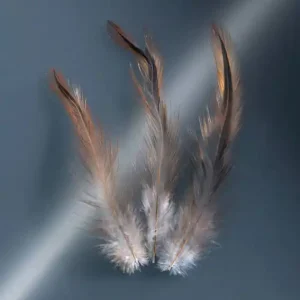 Knallerangebot Naturfedern braun ca. 15 Stück