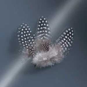 Perlhuhnfedern mix ca. 15 Stück Schnäppchen