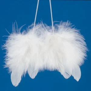 Jetzt Zugreifen Engelsflügel