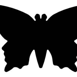 Motiv-Locher groß Schmetterling 25mm Exklusiv