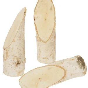 Baumstämmchen”Birke”, 5tlg. 5-8cm Höhe ca 14cm Premium
