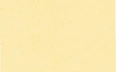 Abverkauf Fotokarton 50x70cm vanille Packung à 10 Bogen