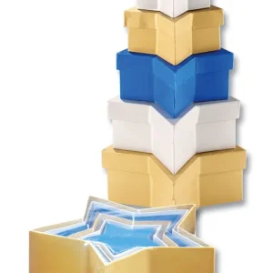 Geschenkboxen Stern, 6 Stück Top-Preis