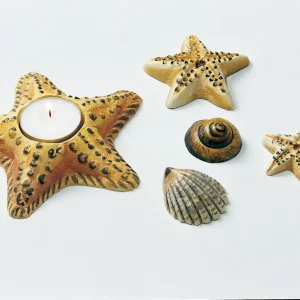 Reliefform ”Meeresbewohner” 5-teilig mit Kerzenhalter Beliebt