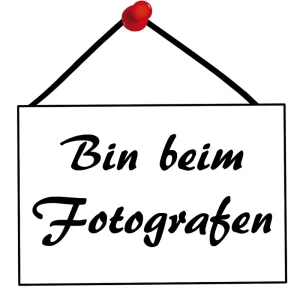 Bodenbeutel mit Weihnachtsdruck 95x160mm, 100 Stück Online Kaufen